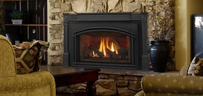 Excursion II Series Gas Fireplace Insert