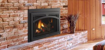 Excursion III Series Gas Fireplace Insert