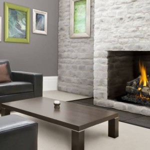 Verso™ 22 -­ GL22 - Vented Gas Log Set