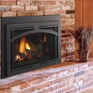 Excursion III Series Gas Fireplace Insert