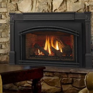 Excursion II Series Gas Fireplace Insert