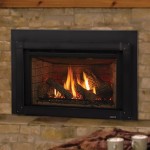 Excursion III Series Gas Fireplace Insert