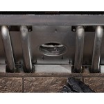 Excursion I Series Gas Fireplace Insert