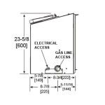 Excursion III Series Gas Fireplace Insert