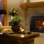 QFI30FB Series Gas Fireplace Insert