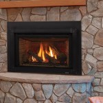 Excursion I Series Gas Fireplace Insert