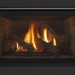 Excursion I Series Gas Fireplace Insert