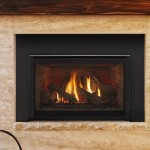 Excursion II Series Gas Fireplace Insert