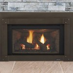 Excursion I Series Gas Fireplace Insert