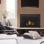 Provident Gas Fireplace Insert