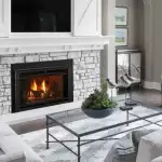 Supreme Gas Fireplace Insert