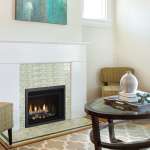 Horizon HRI3E Gas Insert